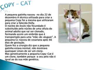 A pequena gatinha nasceu no dia 22 de
dezembro A técnica utilizada para criar a
pequena Copy foi a mesma que utilizaram
para criar a falecida Dolly.
O núcleo do óvulo não fecundado é
substituído pelo núcleo de uma célula do
animal adulto que vai ser clonado,
formando assim um embrião que é
transportado para uma “mãe-de-aluguer”. A
pequena Cc nasceu de cesariana após 66
dias de gestação.
Quem fez a cirurgia diz que a pequena
gatinha estava normal, não mostrava
quaisquer sinais de ser um clone.
Mas geneticamente a pequena Copy-Cat é
um clone, também porque o seu pelo não é
igual ao da sua mãe genética.
 