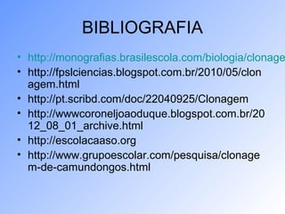 BIBLIOGRAFIA
• http://monografias.brasilescola.com/biologia/clonage
• http://fpslciencias.blogspot.com.br/2010/05/clon
agem.html
• http://pt.scribd.com/doc/22040925/Clonagem
• http://wwwcoroneljoaoduque.blogspot.com.br/20
12_08_01_archive.html
• http://escolacaaso.org
• http://www.grupoescolar.com/pesquisa/clonage
m-de-camundongos.html
 