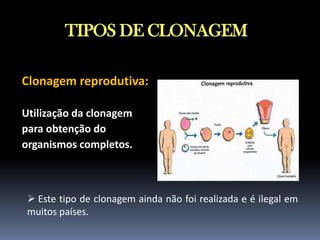 TIPOS DE CLONAGEM
Clonagem reprodutiva:
Utilização da clonagem
para obtenção do
organismos completos.

 Este tipo de clonagem ainda não foi realizada e é ilegal em
muitos países.

 