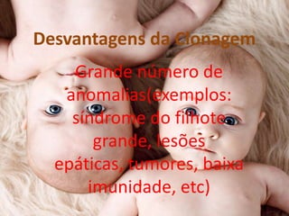 Desvantagens da Clonagem
Grande número de
anomalias(exemplos:
síndrome do filhote
grande, lesões
epáticas, tumores, baixa
imunidade, etc)

 