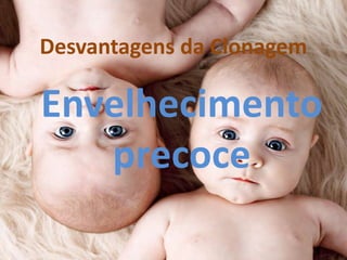 Desvantagens da Clonagem

Envelhecimento
precoce

 