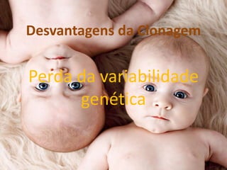 Desvantagens da Clonagem

Perda da variabilidade
genética

 