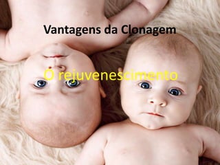 Vantagens da Clonagem

O rejuvenescimento

 