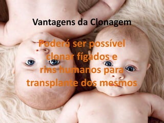 Vantagens da Clonagem

Poderá ser possível
clonar fígados e
rins humanos para
transplante dos mesmos

 