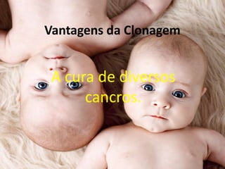 Vantagens da Clonagem

A cura de diversos
cancros.

 