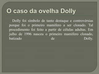 Dolly foi símbolo de tanto destaque e controvérsias
porque foi o primeiro mamífero a ser clonado. Tal
procedimento foi feito a partir de células adultas. Em
julho de 1996 nasceu o primeiro mamífero clonado,
batizado de Dolly.
 
