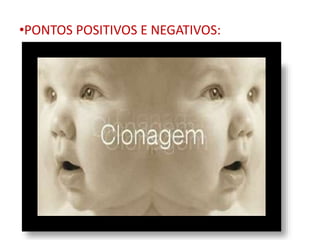 •PONTOS POSITIVOS E NEGATIVOS: 
 