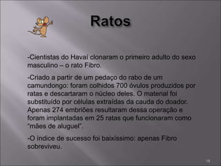 -Cientistas do Havaí clonaram o primeiro adulto do sexo
masculino – o rato Fibro.
-Criado a partir de um pedaço do rabo de um
camundongo: foram colhidos 700 óvulos produzidos por
ratas e descartaram o núcleo deles. O material foi
substituído por células extraídas da cauda do doador.
Apenas 274 embriões resultaram dessa operação e
foram implantadas em 25 ratas que funcionaram como
“mães de aluguel”.
-O índice de sucesso foi baixíssimo: apenas Fibro
sobreviveu.
18
 