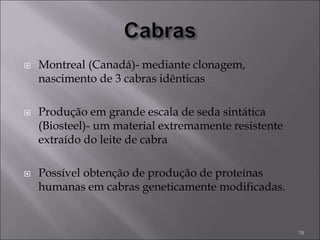  Montreal (Canadá)- mediante clonagem,
nascimento de 3 cabras idênticas
 Produção em grande escala de seda sintática
(Biosteel)- um material extremamente resistente
extraído do leite de cabra
 Possível obtenção de produção de proteínas
humanas em cabras geneticamente modificadas.
19
 