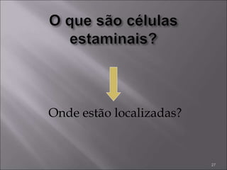 Onde estão localizadas?
27
 
