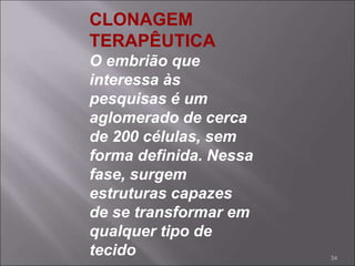 CLONAGEM
TERAPÊUTICA
O embrião que
interessa às
pesquisas é um
aglomerado de cerca
de 200 células, sem
forma definida. Nessa
fase, surgem
estruturas capazes
de se transformar em
qualquer tipo de
tecido 34
 