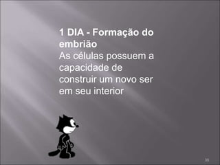 1 DIA - Formação do
embrião
As células possuem a
capacidade de
construir um novo ser
em seu interior
35
 