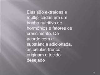 Elas são extraídas e
multiplicadas em um
banho nutritivo de
hormônios e fatores de
crescimento. De
acordo com a
substância adicionada,
as células-tronco
originam o tecido
desejado
37
 