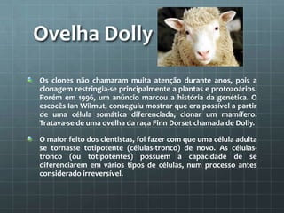 Ovelha Dolly
Os clones não chamaram muita atenção durante anos, pois a
clonagem restringia-se principalmente a plantas e protozoários.
Porém em 1996, um anúncio marcou a história da genética. O
escocês Ian Wilmut, conseguiu mostrar que era possível a partir
de uma célula somática diferenciada, clonar um mamífero.
Tratava-se de uma ovelha da raça Finn Dorset chamada de Dolly.

O maior feito dos cientistas, foi fazer com que uma célula adulta
se tornasse totipotente (células-tronco) de novo. As células-
tronco (ou totipotentes) possuem a capacidade de se
diferenciarem em vários tipos de células, num processo antes
considerado irreversível.
 