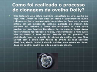 Como foi realizado o processo
de clonagem da ovelha Dolly?
Eles isolaram uma célula mamária congelada de uma ovelha da
raça Finn Dorset de seis anos de idade e colocaram-na numa
cultura com baixa concentração de nutrientes. Com isso a célula
entrou em um estado de latência, parando de crescer. Em
paralelo, foi retirado o óvulo não fertilizado de uma outra
ovelha, da raça Scottish Blackface, de cor escura. Desse óvulo
não fertilizado foi retirado o núcleo, transformando-o num óvulo
não fertilizado e sem núcleo. Através de um processo de
eletrofusão ocorreu a união do núcleo da ovelha da raça Finn
Dorset com o óvulo sem núcleo da ovelha da raça Scottish
Blackface, dando início à divisão celular: uma célula em duas,
duas em quatro, quatro em oito e assim por diante.
 