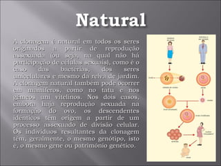 A clonagem é natural em todos os seres originados a partir de reprodução assexuada (ou seja, na qual não há participação de células sexuais), como é o caso das bactérias, dos seres unicelulares e mesmo da relva de jardim. A clonagem natural também pode ocorrer em mamíferos, como no tatu e nos gémeos uni vitelinos. Nos dois casos, embora haja reprodução sexuada na formação do ovo, os descendentes idênticos têm origem a partir de um processo assexuado de divisão celular. Os indivíduos resultantes da clonagem têm, geralmente, o mesmo genótipo, isto é, o mesmo gene ou património genético. 