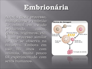 Através deste processo, multiplica-se o embrião do animal em estudo produzindo, assim, gémeos, trigémeos, etc. É um processo similar ao que se observa na natureza. Embora em uso há anos com animais, muito pouco foi experimentado com seres humanos. 