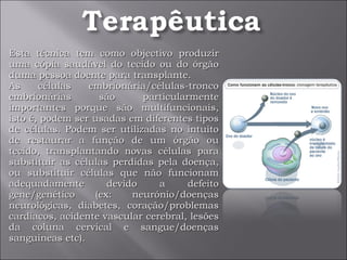 Esta técnica tem como objectivo produzir uma cópia saudável do tecido ou do órgão duma pessoa doente para transplante.  As células embrionária/células-tronco embrionárias são particularmente importantes porque são multifuncionais, isto é, podem ser usadas em diferentes tipos de células. Podem ser utilizadas no intuito de restaurar a função de um órgão ou tecido, transplantando novas células para substituir as células perdidas pela doença, ou substituir células que não funcionam adequadamente devido a defeito gene/genético (ex: neurónio/doenças neurológicas, diabetes, coração/problemas cardíacos, acidente vascular cerebral, lesões da coluna cervical e sangue/doenças sanguíneas etc). 