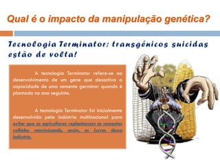 Qual é o impacto da manipulação genética?




          A tecnologia Terminator refere-se ao
 desenvolvimento de um gene que desactiva a
 capacidade de uma semente germinar quando é
 plantada no ano seguinte.


            A tecnologia Terminator foi inicialmente
 desenvolvida pela indústria multinacional para
 evitar que os agricultores replantassem as sementes
 colhidas maximizando, assim, os lucros dessa
 indústria.
 