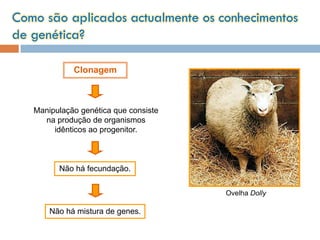 Como são aplicados actualmente os conhecimentos
de genética?

             Clonagem



   Manipulação genética que consiste
     na produção de organismos
        idênticos ao progenitor.



         Não há fecundação.


                                       Ovelha Dolly

       Não há mistura de genes.
 