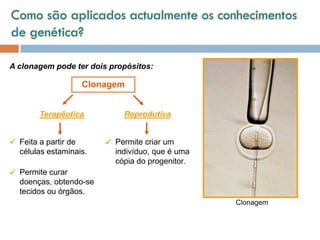Como são aplicados actualmente os conhecimentos
de genética?

A clonagem pode ter dois propósitos:

                      Clonagem


        Terapêutica            Reprodutiva


 Feita a partir de         Permite criar um
  células estaminais.        indivíduo, que é uma
                             cópia do progenitor.
 Permite curar
  doenças, obtendo-se
  tecidos ou órgãos.
                                                    Clonagem



 Planeta Terra — 9.º ano
 