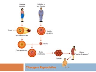 Clonagem Reprodutiva
 