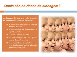 Quais são os riscos da clonagem?


A clonagem levanta um várias questões
de ordem ética e biológica tais como:

      A perda da variabilidade genética
       da nossa espécie;
      A possibilidade de comprometer a
       individualidade;
      O envelhecimento precoce;
      A aparecimento de um grande
       número de malformações;
      Será aceitável a produção de
       embriões humanos para a obtenção
       de tecidos ou órgãos?
 