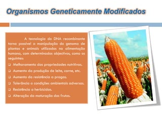 Organismos Geneticamente Modificados


           A tecnologia do DNA recombinante
torna possível a manipulação do genoma de
plantas e animais utilizados na alimentação
humana, com determinados objectivos, como os
seguintes:
   Melhoramento das propriedades nutritivas.
   Aumento da produção de leite, carne, etc.
   Aumento da resistência a pragas.
   Tolerância a condições ambientais adversas.
   Resistência a herbicidas.
   Alteração da maturação dos frutos.
 