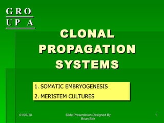CLONAL PROPAGATION SYSTEMS GROUP A 01/07/10 Slide Presentation Designed By Brian Birir ,[object Object],[object Object]