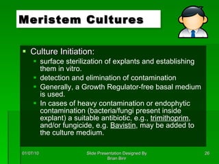 Culture Initiation: surface sterilization of explants and establishing them in vitro. detection and elimination of contamination Generally, a Growth Regulator-free basal medium is used.  In cases of heavy contamination or endophytic contamination (bacteria/fungi present inside explant) a suitable antibiotic, e.g.,  trimithoprim , and/or fungicide, e.g.  Bavistin , may be added to the culture medium. Meristem Cultures 01/07/10 Slide Presentation Designed By Brian Birir 