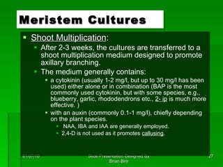 Shoot Multiplication : After 2-3 weeks, the cultures are transferred to a shoot multiplication medium designed to promote axillary branching.  The medium generally contains:  a cytokinin (usually 1-2 mg/l, but up to 30 mg/l has been used) either alone or in combination (BAP is the most commonly used cytokinin, but with some species, e.g., blueberry, garlic, rhododendrons etc.,  2- ip  is much more effective. ) with an auxin (commonly 0.1-1 mg/l), chiefly depending on the plant species.  NAA, IBA and IAA are generally employed.  2,4-D is not used as it promotes  callusing .  Meristem Cultures 01/07/10 Slide Presentation Designed By Brian Birir 