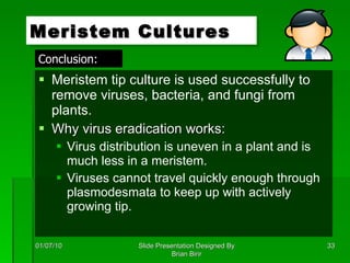 Meristem tip culture is used successfully to remove viruses, bacteria, and fungi from plants. Why virus eradication works: Virus distribution is uneven in a plant and is much less in a meristem. Viruses cannot travel quickly enough through plasmodesmata to keep up with actively growing tip. Meristem Cultures 01/07/10 Slide Presentation Designed By Brian Birir Conclusion: 