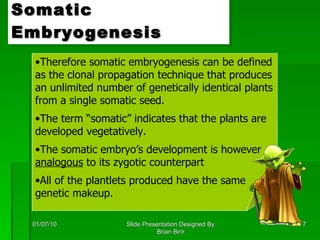 Somatic Embryogenesis 01/07/10 Slide Presentation Designed By Brian Birir Therefore somatic embryogenesis can be defined as the clonal propagation technique that produces an unlimited number of genetically identical plants from a single somatic seed. The term “somatic” indicates that the plants are developed vegetatively. The somatic embryo’s development is however  analogous  to its zygotic counterpart All of the plantlets produced have the same genetic makeup. 
