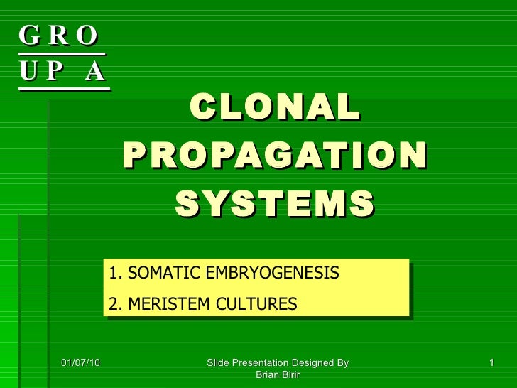 Clonal propagation tissueculture