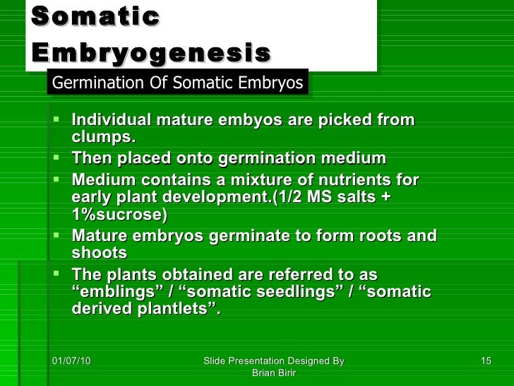 Clonal propagation tissueculture