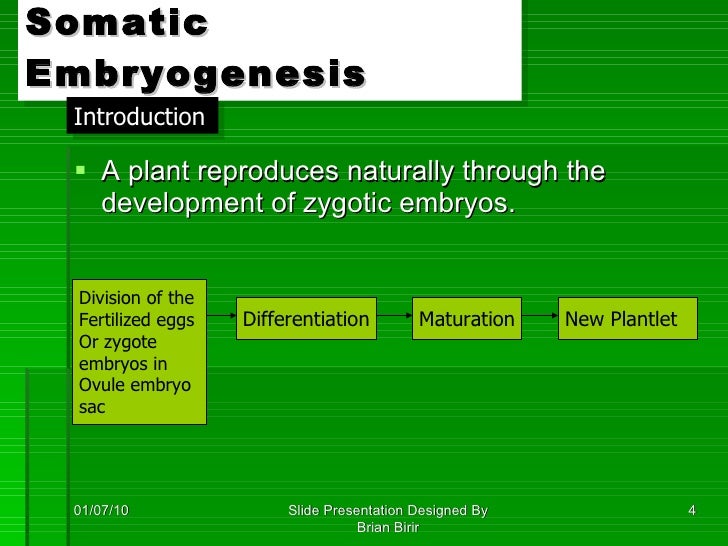 Clonal propagation tissueculture