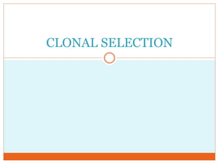 CLONAL SELECTION