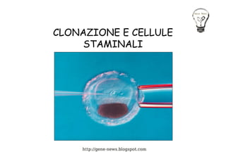 CLONAZIONE E CELLULE
     STAMINALI
 