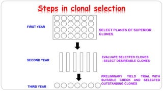 Clone and clonal selection | PPTX