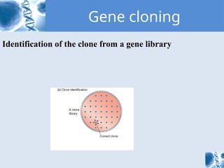 Library Cloning Comprehensive Overview of Gene Cloning and Gene Libraries in ...