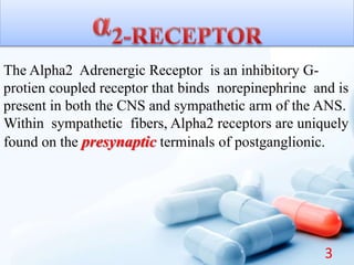 The Alpha2 Adrenergic Receptor is an inhibitory G-
protien coupled receptor that binds norepinephrine and is
present in both the CNS and sympathetic arm of the ANS.
Within sympathetic fibers, Alpha2 receptors are uniquely
found on the presynaptic terminals of postganglionic.
3
 