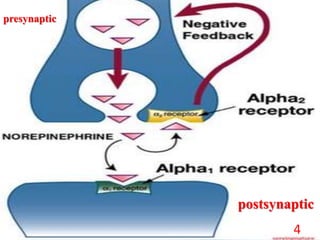 presynaptic
postsynaptic
4
 
