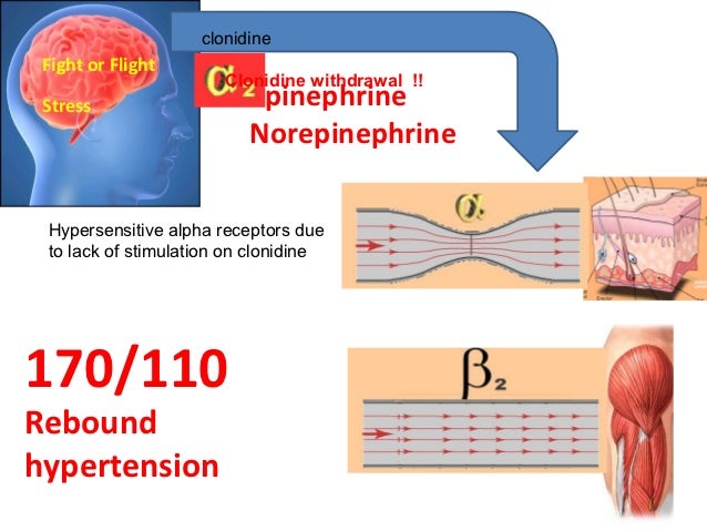 Clonidine what is it withdrawal