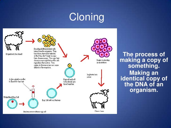 Cloning