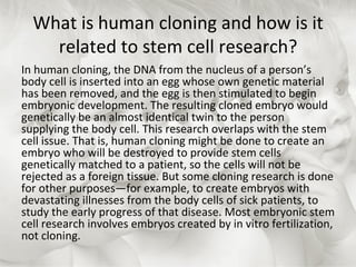 What is human cloning and how is it related to stem cell research? In human cloning, the DNA from the nucleus of a person’s body cell is inserted into an egg whose own genetic material has been removed, and the egg is then stimulated to begin embryonic development. The resulting cloned embryo would genetically be an almost identical twin to the person supplying the body cell. This research overlaps with the stem cell issue. That is, human cloning might be done to create an embryo who will be destroyed to provide stem cells genetically matched to a patient, so the cells will not be rejected as a foreign tissue. But some cloning research is done for other purposes—for example, to create embryos with devastating illnesses from the body cells of sick patients, to study the early progress of that disease. Most embryonic stem cell research involves embryos created by in vitro fertilization, not cloning. 