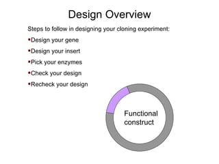 Design Overview Steps to follow in designing your cloning experiment: Design your gene Design your insert Pick your enzymes  Check your design Recheck your design Functional construct 