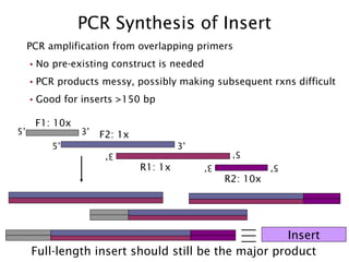 PCR amplification from overlapping primers No pre-existing construct is needed PCR products messy, possibly making subsequent rxns difficult Good for inserts >150 bp PCR Synthesis of Insert F1: 10x F2: 1x R1: 1x R2: 10x 5’ 3’ 5’ 3’ 5’ 3’ 5’ 3’ Full-length insert should still be the major product Insert 