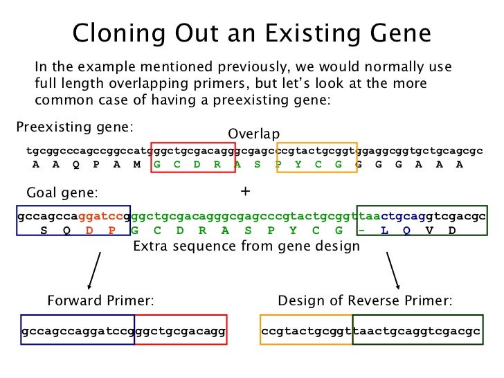 Cloning