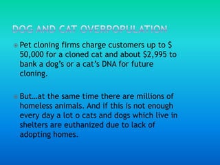 Dog and cat overpopulationPet cloning firms charge customers up to $ 50,000 for a cloned cat and about $2,995 to bank a dog’s or a cat’s DNA for future cloning.But…at the same time there are millions of homeless animals. And if this is not enough every day a lot o cats and dogs which live in shelters are euthanized due to lack of adopting homes.