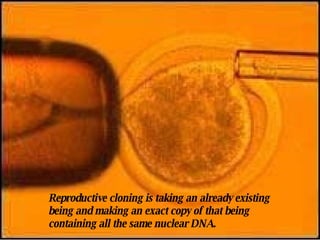 Reproductive cloning is taking an already existing being and making an exact copy of that being containing all the same nuclear DNA.